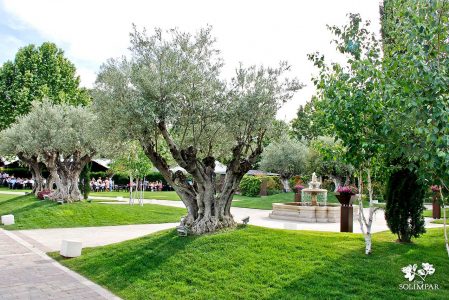 Jardines | Finca Solimpar